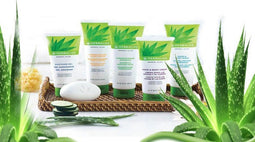 The Beneficial Properties of Aloe Vera